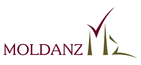 Moldanz Logo